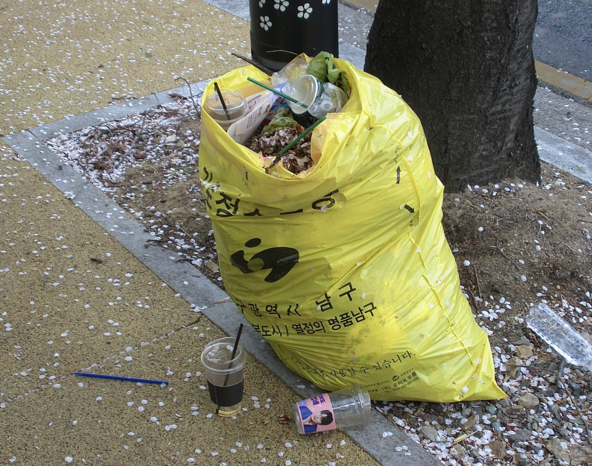 Plastic cups spill out onto the street from an overstuffed garbage bag. Fallen cherry blossom petals blanket the ground around it. 